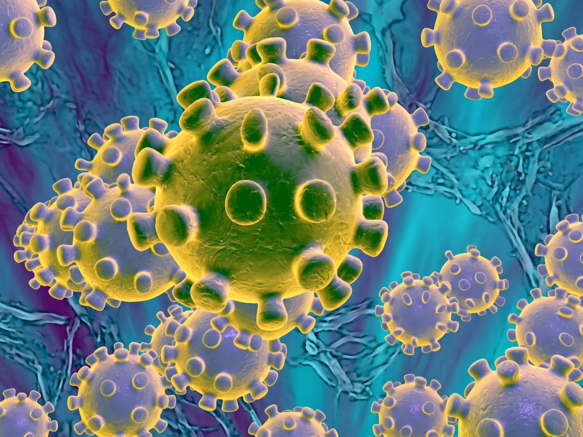 Corona virus uitgebeeld