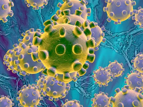 Corona virus uitgebeeld